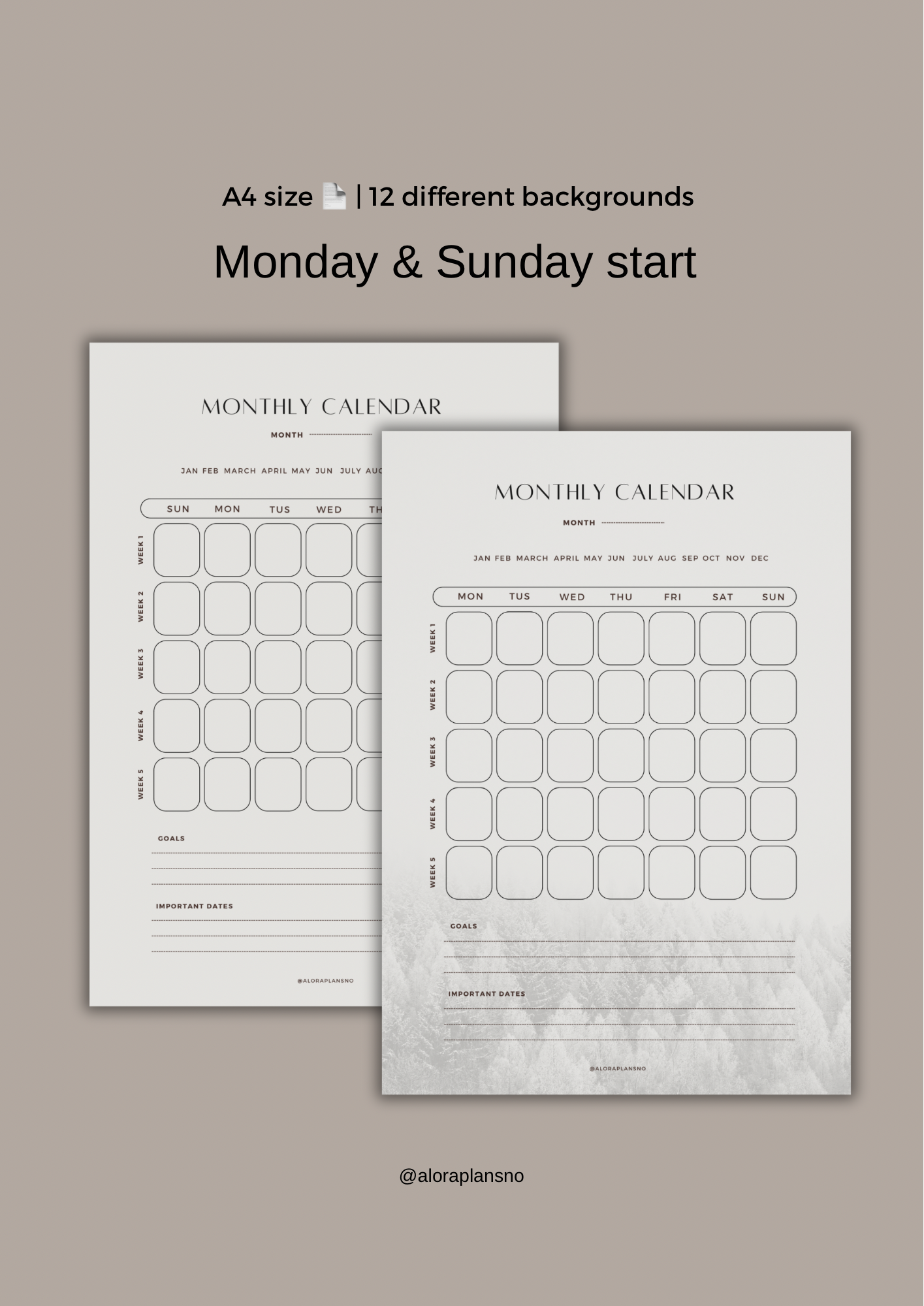 Monthly calendar 2025 | 12 Unique Backgrounds