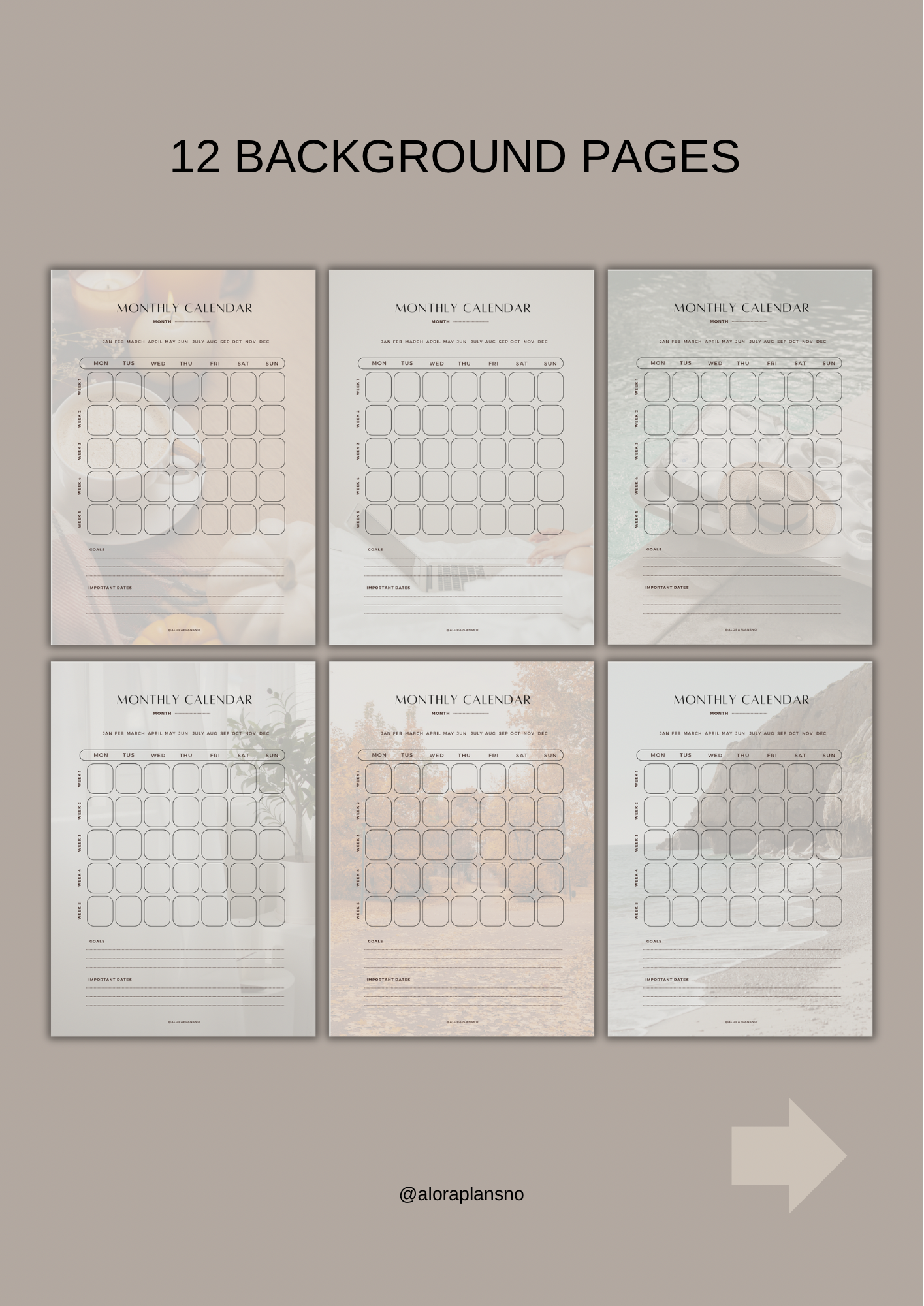 Monthly calendar 2025 | 12 Unique Backgrounds