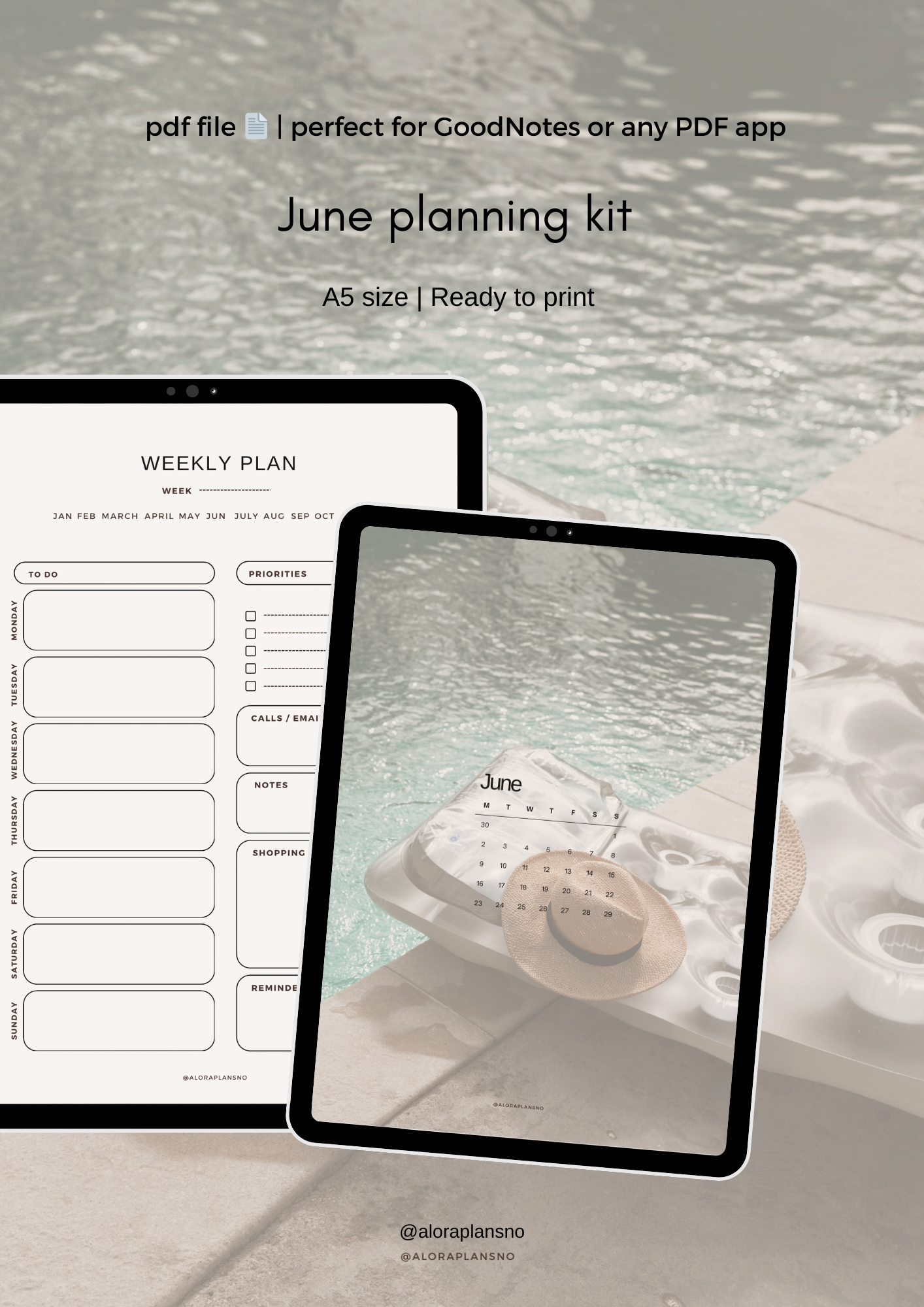 June planning kit 🦩A5
